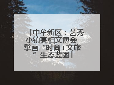 中牟新区：艺秀小镇亮相文博会 擘画“时尚+文旅”生态蓝图