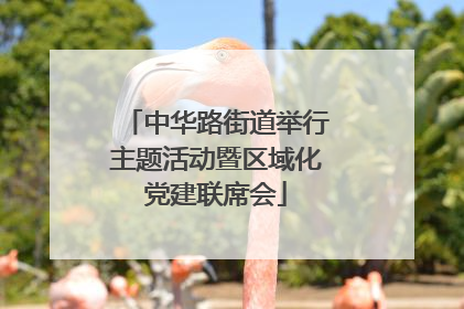 中华路街道举行主题活动暨区域化党建联席会