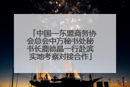 中国—东盟商务协会总会中方秘书处秘书长鹿德晶一行赴滨实地考察对接合作