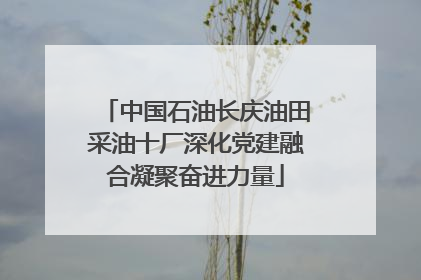 中国石油长庆油田采油十厂深化党建融合凝聚奋进力量
