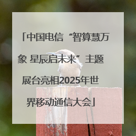 中国电信“智算慧万象 星辰启未来”主题展台亮相2025年世界移动通信大会