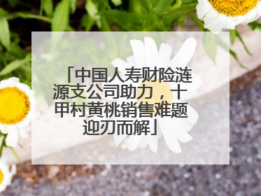 中国人寿财险涟源支公司助力，十甲村黄桃销售难题迎刃而解