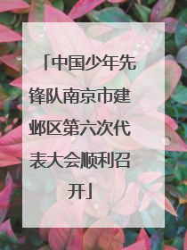 中国少年先锋队南京市建邺区第六次代表大会顺利召开