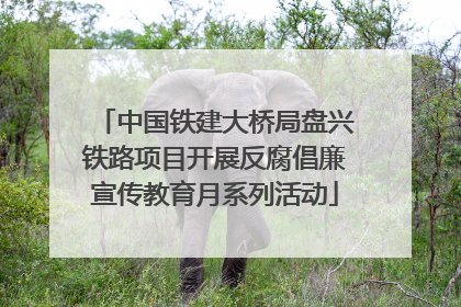 中国铁建大桥局盘兴铁路项目开展反腐倡廉宣传教育月系列活动