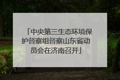 中央第三生态环境保护督察组督察山东省动员会在济南召开