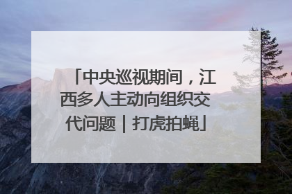 中央巡视期间，江西多人主动向组织交代问题｜打虎拍蝇