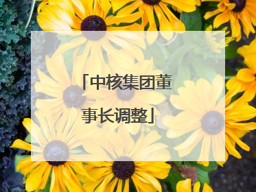中核集团董事长调整