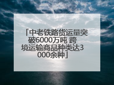 中老铁路货运量突破6000万吨 跨境运输商品种类达3000余种