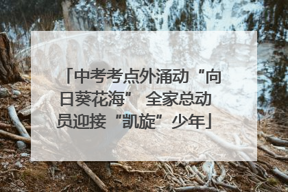 中考考点外涌动“向日葵花海” 全家总动员迎接“凯旋”少年