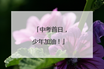 中考首日，少年加油！
