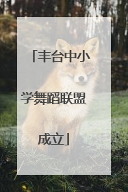丰台中小学舞蹈联盟成立