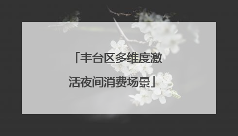 丰台区多维度激活夜间消费场景