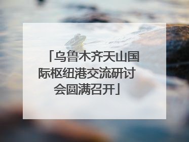 乌鲁木齐天山国际枢纽港交流研讨会圆满召开