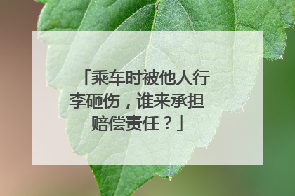 乘车时被他人行李砸伤，谁来承担赔偿责任？