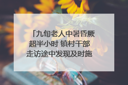 九旬老人中暑昏厥超半小时 镇村干部走访途中发现及时施救｜看见正能量