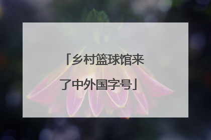 乡村篮球馆来了中外国字号