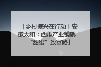 乡村振兴在行动丨安徽太和：西瓜产业铺就“甜蜜”致富路