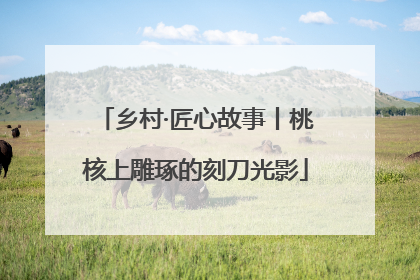 乡村·匠心故事丨桃核上雕琢的刻刀光影