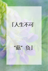 人生不可“菇”负