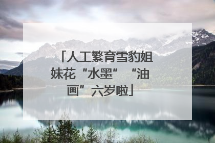 人工繁育雪豹姐妹花“水墨”“油画”六岁啦