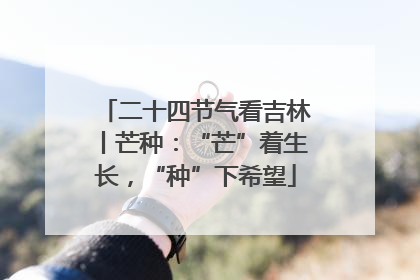 二十四节气看吉林丨芒种：“芒”着生长，“种”下希望