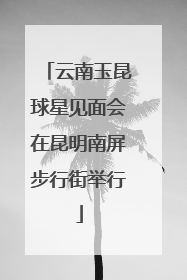 云南玉昆球星见面会在昆明南屏步行街举行