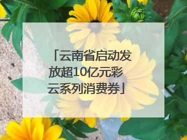 云南省启动发放超10亿元彩云系列消费券
