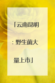 云南昆明：野生菌大量上市