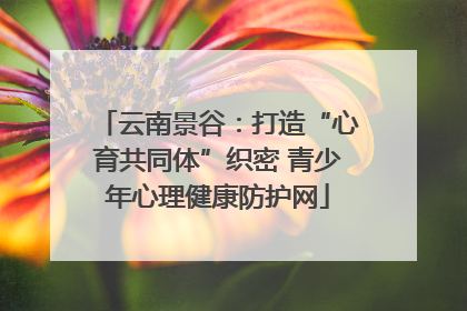 云南景谷：打造“心育共同体”织密 青少年心理健康防护网