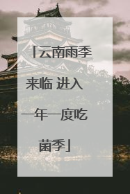 云南雨季来临 进入一年一度吃菌季