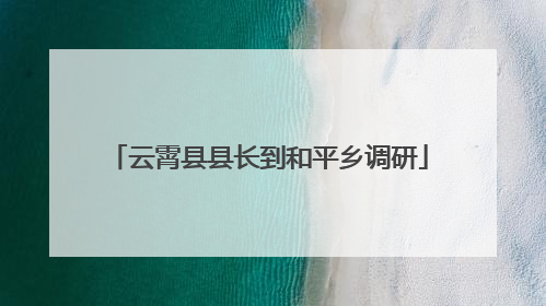 云霄县县长到和平乡调研