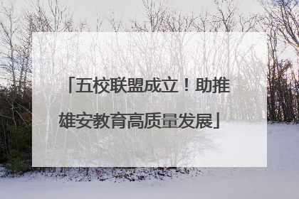 五校联盟成立！助推雄安教育高质量发展