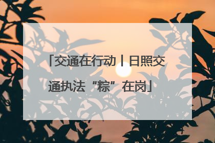 交通在行动丨日照交通执法“粽”在岗