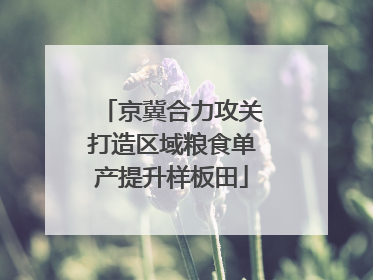 京冀合力攻关打造区域粮食单产提升样板田