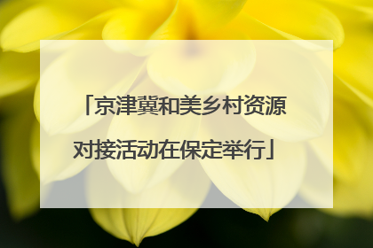 京津冀和美乡村资源对接活动在保定举行