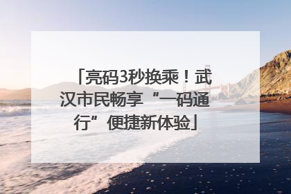亮码3秒换乘！武汉市民畅享“一码通行”便捷新体验