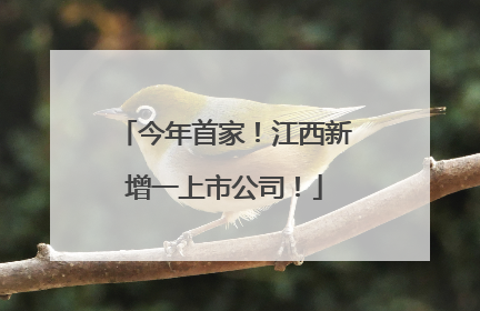 今年首家！江西新增一上市公司！