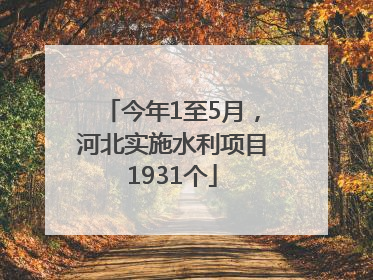 今年1至5月，河北实施水利项目1931个