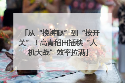 从“挽裤腿”到“按开关”！高青稻田插秧“人机大战”效率拉满