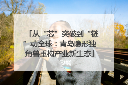 从“芯”突破到“链”动全球：青岛隐形独角兽重构产业新生态