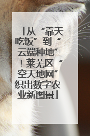 从“靠天吃饭”到“云端种地”！莱芜区“空天地网”织出数字农业新图景