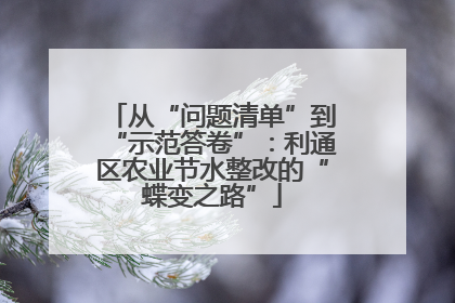 从“问题清单”到“示范答卷”：利通区农业节水整改的“蝶变之路”