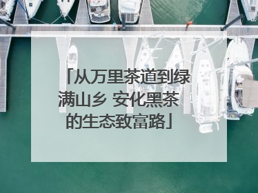 从万里茶道到绿满山乡 安化黑茶的生态致富路