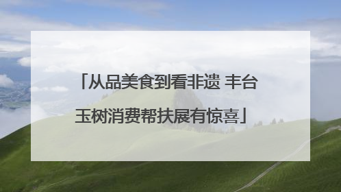 从品美食到看非遗 丰台玉树消费帮扶展有惊喜
