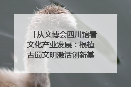 从文博会四川馆看文化产业发展：根植古蜀文明激活创新基因｜文博向“新”