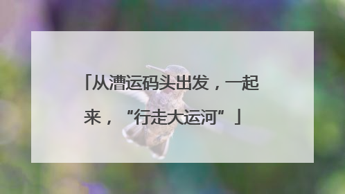 从漕运码头出发，一起来，“行走大运河”