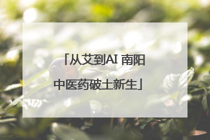 从艾到AI 南阳中医药破土新生