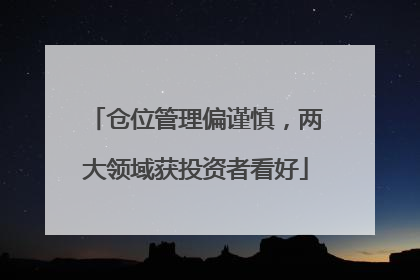 仓位管理偏谨慎，两大领域获投资者看好