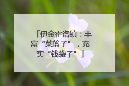 伊金霍洛镇：丰富“菜篮子”，充实“钱袋子”