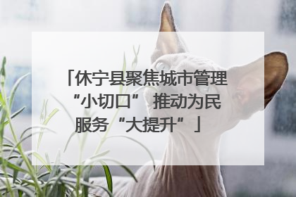 休宁县聚焦城市管理“小切口” 推动为民服务“大提升”